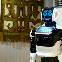 В Липецком краеведческом музее появился робот-экскурсовод