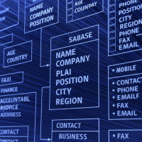 Купить базу клиентов или собрать самому: что выгоднее бизнесу в 2025