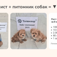 Я в чемпионате SEO кейсов от TopVisor 2025