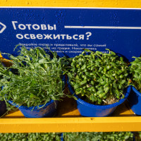 «Группа Лента» построила гипермаркет на фестивале «Чтиво»