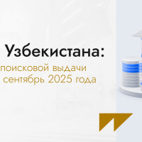 Банки Узбекистана: кто в топе поисковой выдачи с июня по сентябрь 2025 года