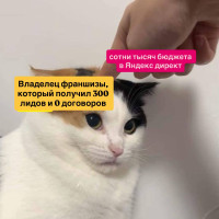 Клиенты для франшиз по 2000 ₽: секрет продвижения, который приносит по 30 заявок в день