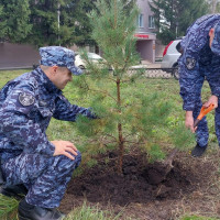 В Нижнекамске сотрудники вневедомственной охраны Росгвардии приняли участие во Всероссийском субботнике «Зеленая Россия»