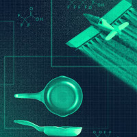 DuPont и 3M: как «вечные химикаты» отравили мир