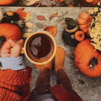 Готовим соцсети к осеннему сезону: оформление, контент и акции для разных ниш