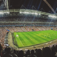 Каждый четвертый фанат спорта не выбирал самостоятельно любимый клуб