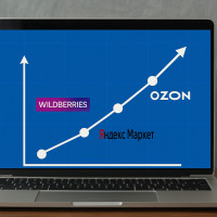 Маркетплейсы 2025: как российский e-commerce переживает новый виток роста