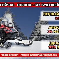 «IRBIS Бизнес» для юридических лиц