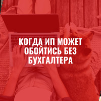 Когда ИП может обойтись без бухгалтера