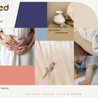 Коллаборация Thyseed x RAL - «цвет спокойствия»: научно обоснованный подход к снижению стресса у младенцев