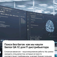 Поиск без багов: как мы нашли Senior QA 1С для IT-дистрибьютора, входящего в ТОП-5 на территории РФ