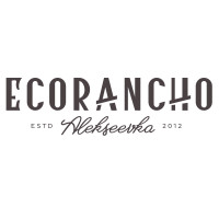 Кейс: таргетированная реклама во «ВКонтакте» для загородного отеля «Экоранчо»