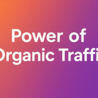 Как раскрыть потенциал сайта через органический трафик