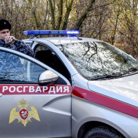 В Зеленодольске сотрудники Росгвардии задержали ранее судимого мужчину по подозрению в грабеже из супермаркета