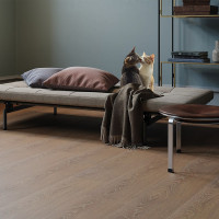 Мурчание на ламинате: как выбрать напольное покрытие так, чтобы и кот был доволен