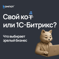 Битрикс против кастомных решений: почему зрелому бизнесу не нужна собственная CMS