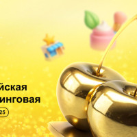 LEVITA признана франшизой года по версии БИБОСС 2025