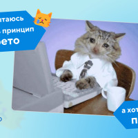 Принцип Парето: 20 % усилий приносят 80 % результата – как работает закон Парето на практике