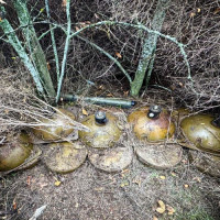 Росгвардейцы обнаружили тайник с иностранным оружием в Херсонской области