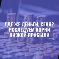 Где же деньги, Сеня? Исследуем корни низкой прибыли