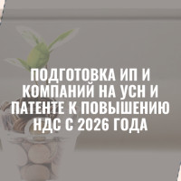 Подготовка ИП и компаний на УСН и патенте к повышению НДС с 2026 года