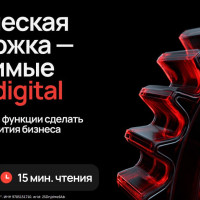 Техническая поддержка — невидимые герои digital