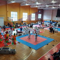 Турнир по тхэквондо в ДС «Прикамье»: сила, скорость и воля к победе