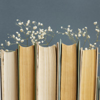 Топ сайтов, где можно заказать курсовую работу по психологии — рейтинг и сравнение