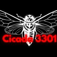 Проект «Cicada 3301»: тайный тест для избранных