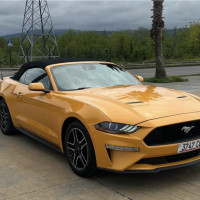 Заказ авто из Грузии в 2025 году: анализ 10 подрядчиков для инвестора