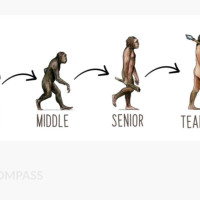 Финансовое планирование в условиях кризиса и макроэкономической нестабильности
