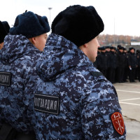 В Казани росгвардейцы задержали подозреваемого в краже на казанском стадионе