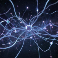 🧠 BIP-39 как стимул для исследования рабочих сетей мозга