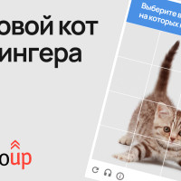 Цифровой кот Шрёдингера