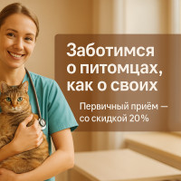 Как продвигать ветеринарный центр через ВКонтакте без больших бюджетов: мой личный опыт в Калуге