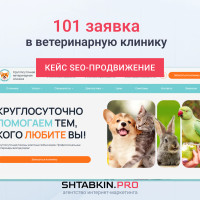 101 заявка в ветеринарную клинику сразу после запуска сайта