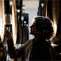 Как хранить домашнее вино в бутылках: правильная влажность воздуха защищает коллекцию