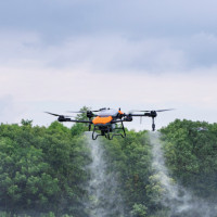 Кейсы заработка: сколько можно зарабатывать на коммерческих обработках агродронами