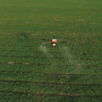 Почему важно покупать агродрон с документами, если вы планируете бизнес на обработках