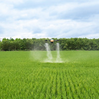 Сколько зарабатывают клиенты «Агронебо» на агродронах и почему эта модель работает у всех