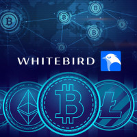Платформа Whitebird: как в 2025 году покупать криптовалюту онлайн без рисков и блокировок
