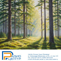 Актуальность использования средства радиосвязи и рации для работников леса и сотрудников лесоперерабатывающей промышленности