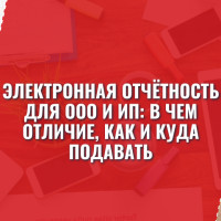Электронная отчётность для ООО и ИП: в чем отличие, как и куда подавать