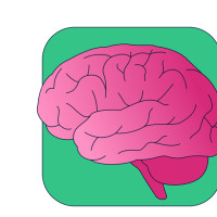 Как эффективно учиться и запоминать инфу (без магии)