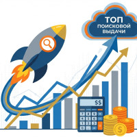 Бюджетирование и ROI накрутки ПФ: Как рассчитать стоимость выхода в ТОП и не слить деньги