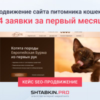 54 заявки за первый месяц работы сайта питомника кошек