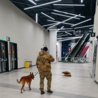 Росгвардия обеспечила правопорядок во время хоккейных матчей чемпионата КХЛ в Омске