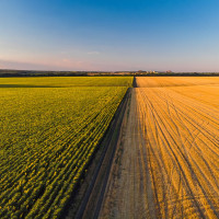 ICL Services выдвинута на конкурс «Проект года» от Global CIO с проектом для ФосАгро