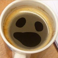 Айтишники и кофе — где правда, а где миф?