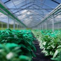 К2Тех представил Карту решений для строительства и модернизации объектов АПК